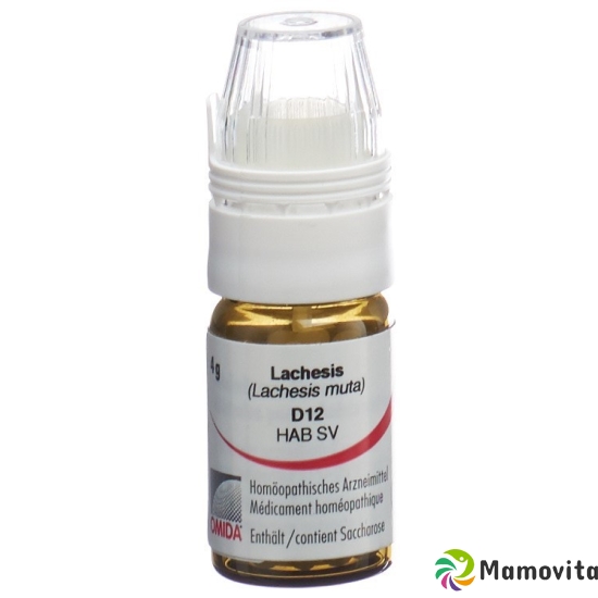 Omida Lachesis Globuli D 12 Dosierhilfe 4g buy online