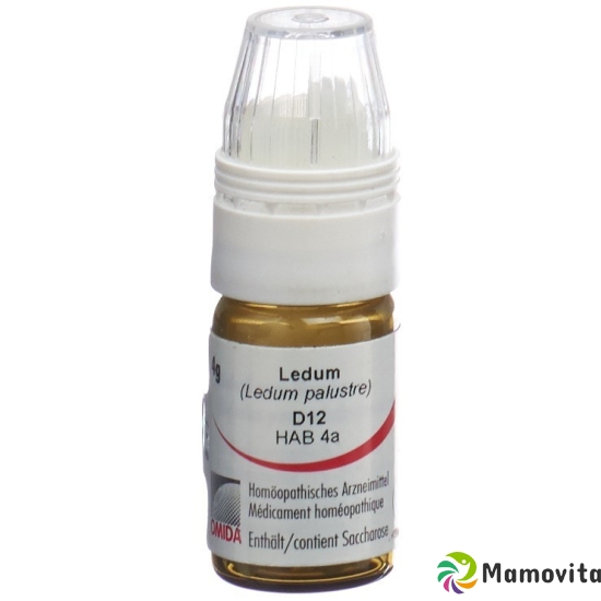 Omida Ledum Globuli D 12 Dosierhilfe 4g buy online