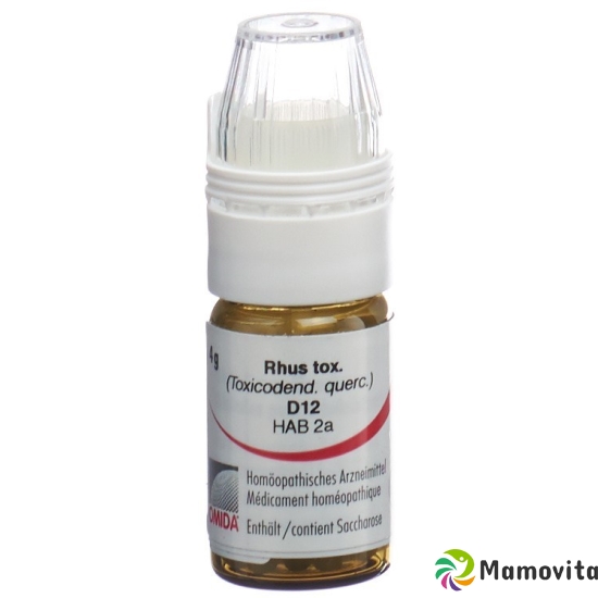 Omida Rhus Tox Globuli D 12 Dosierhilfe 4g buy online