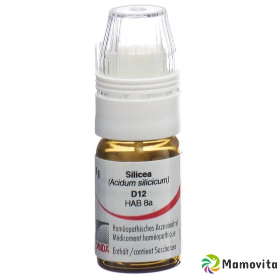 Omida Silicea Globuli D 12 Dosierhilfe 4g buy online