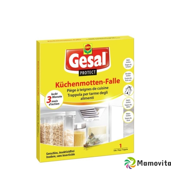 Gesal Küchenmotten Falle buy online