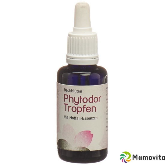 Phytodor Bachblüten Notfalltropfen Flasche 30ml buy online