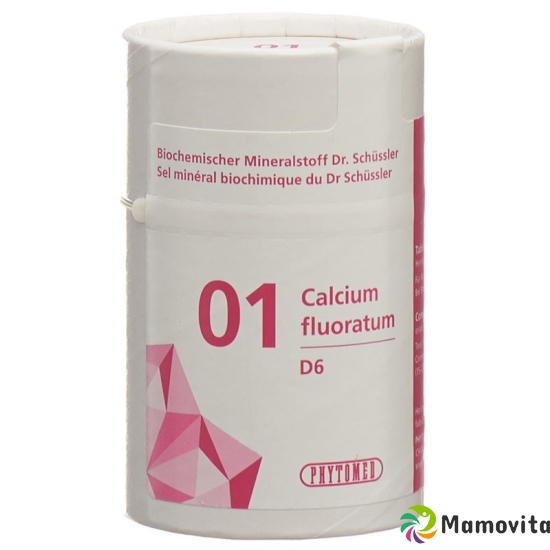 Phytomed Schüssler Nr. 1 Calc Fluor Tabletten D 6 100g buy online