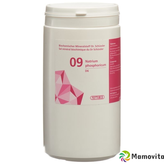 Phytomed Schüssler Nr. 9 Natr Phos Tabletten D 6 1kg buy online