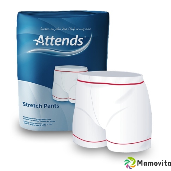 Attends Stretchpant Netzhose 40-80cm Grösse S 15 Stück buy online