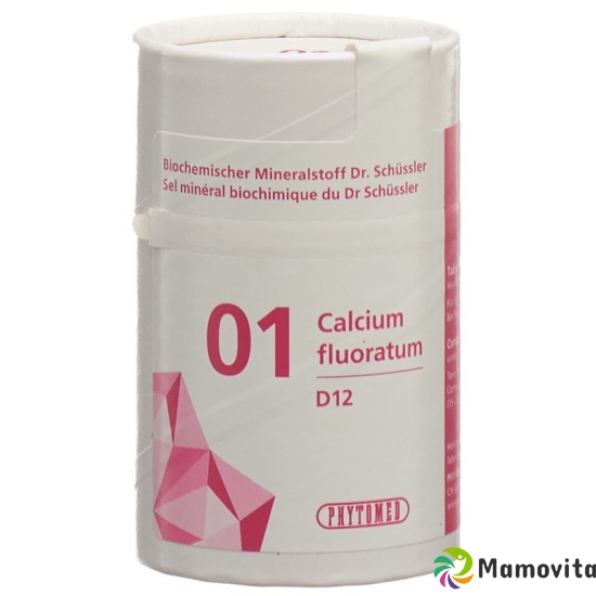 Phytomed Schüssler Nr. 1 Calc Fluor Tabletten D 12 100g buy online