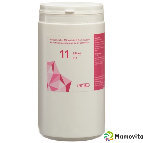 Phytomed Schüssler Nr. 11 Silicea Tabletten D 12 1kg buy online