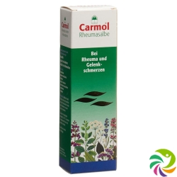 Carmol Rheumasalbe 80g