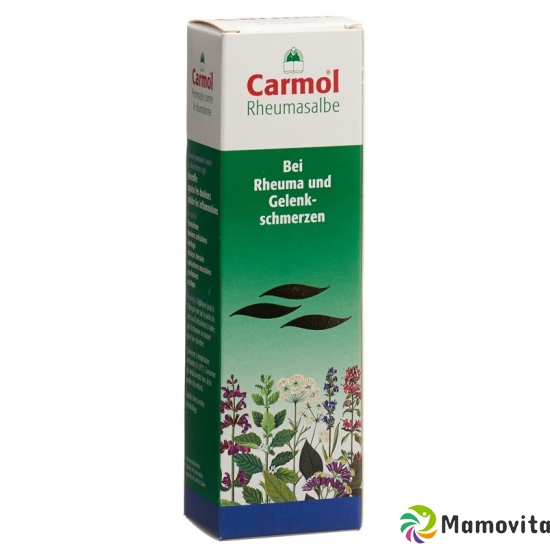 Carmol Rheumasalbe 80g buy online