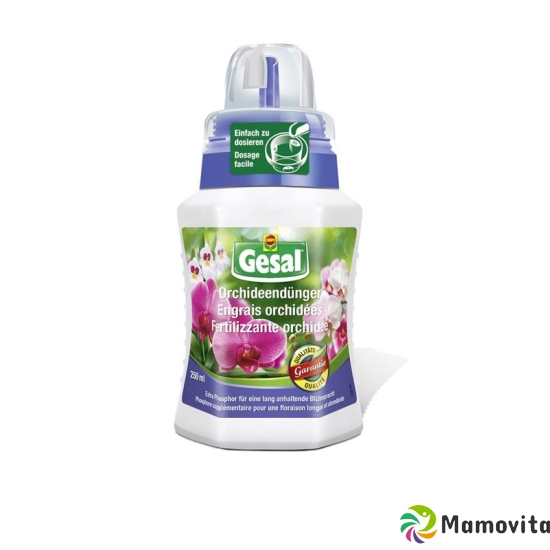 Gesal Orchideendünger 250ml buy online