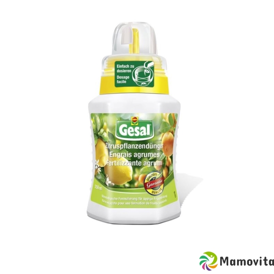 Gesal Zitruspflanzendünger 250ml buy online