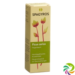 Spagyros Gemmo Ficus Carica Glyc Maz D 1 30ml