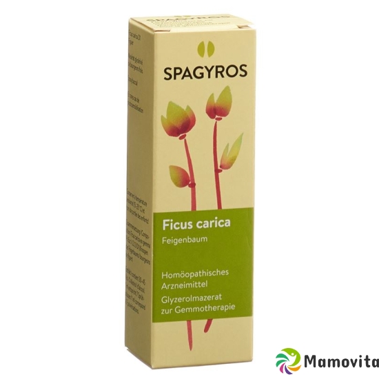 Spagyros Gemmo Ficus Carica Glyc Maz D 1 30ml buy online