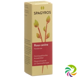 Spagyros Gemmo Rosa Canina Glyc Maz D 1 30ml