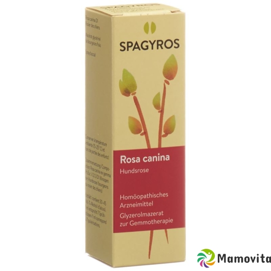 Spagyros Gemmo Rosa Canina Glyc Maz D 1 30ml buy online