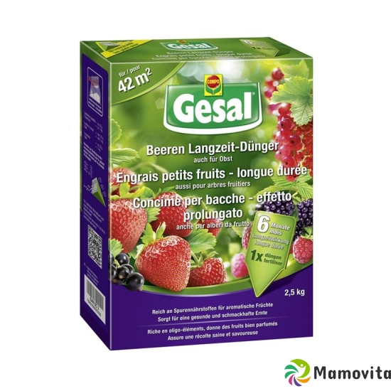 Gesal Beeren Langzeit Duenger 2.5kg buy online