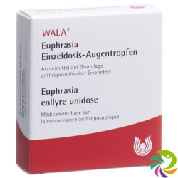 Wala Euphrasia Augentropfen 15 Monodosen