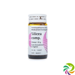 Phoenix Silicea Comp Globuli 20g