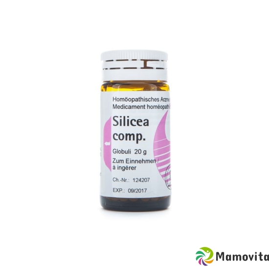 Phoenix Silicea Comp Globuli 20g buy online