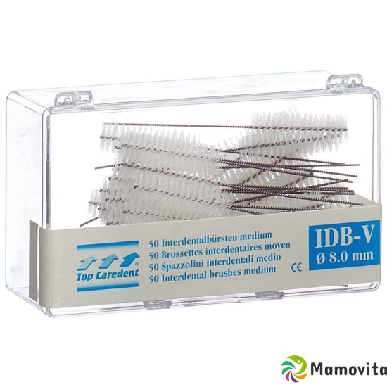 Top Caredent IDB-V Interdentalbürsten Violett 50 Stück buy online