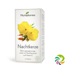 Phytopharma Nachtkerze Kapseln 500mg 110 Stück