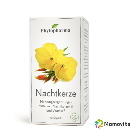 Phytopharma Nachtkerze Kapseln 500mg 110 Stück buy online