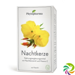 Phytopharma Nachtkerze Kapseln 500mg 190 Stück