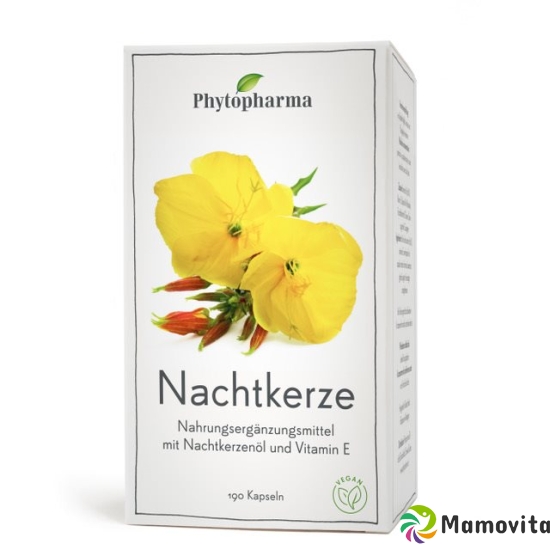 Phytopharma Nachtkerze Kapseln 500mg 190 Stück buy online