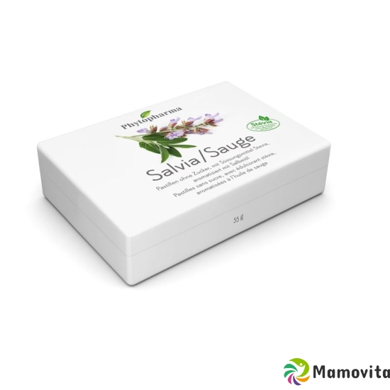 Phytopharma Salvia Pastillen 40 Stück buy online