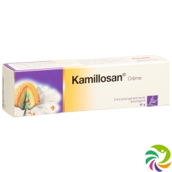 Kamillosan Creme 40g