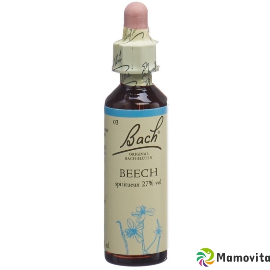 Bachblüten Beech Nr. 3 Flüssig 20ml buy online