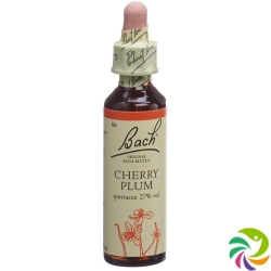 Bachblüten Cherry Plum Nr. 6 Flüssig 20ml