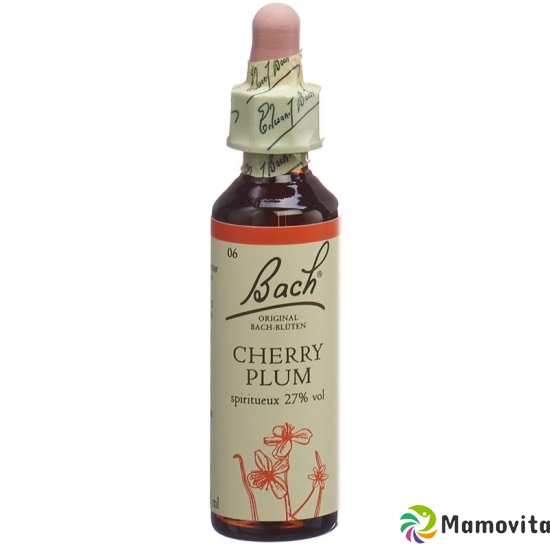 Bachblüten Cherry Plum Nr. 6 Flüssig 20ml buy online