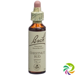 Bachblüten Chestnut Bud Nr. 7 Flüssig 20ml