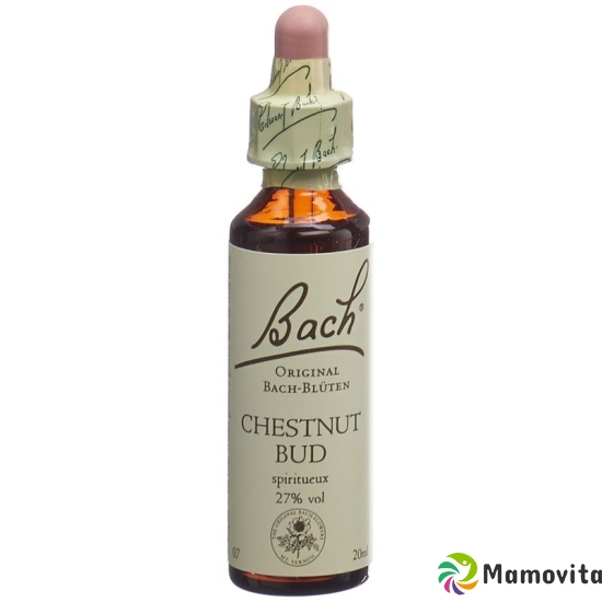 Bachblüten Chestnut Bud Nr. 7 Flüssig 20ml buy online