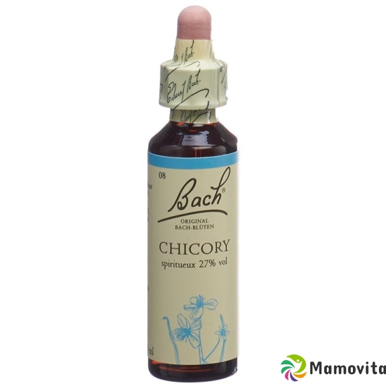 Bachblüten Chicory Nr. 8 Flüssig 20ml buy online