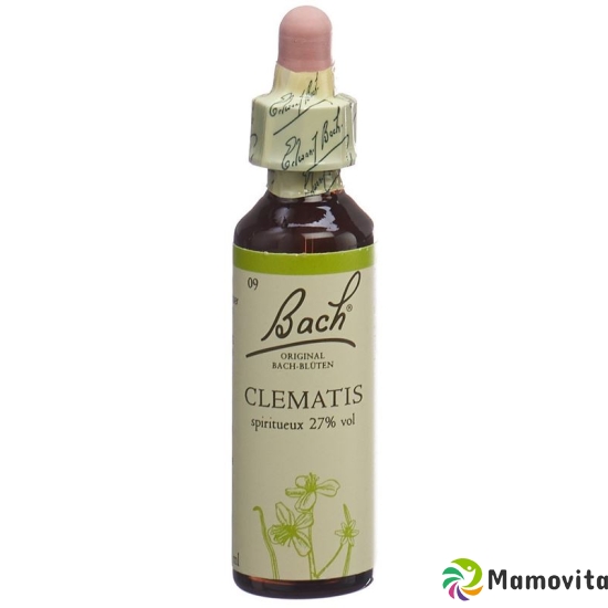 Bachblüten Clematis Nr. 9 Flüssig 20ml buy online