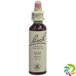 Bachblüten Elm Nr. 11 Flüssig 20ml