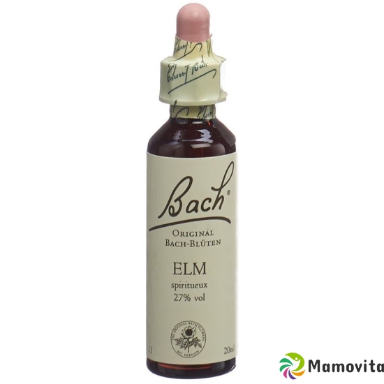 Bachblüten Elm Nr. 11 Flüssig 20ml buy online