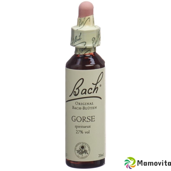 Bachblüten Gorse Nr. 13 Flüssig 20ml buy online