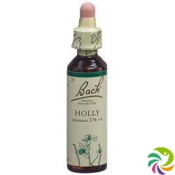 Bachblüten Holly Nr. 15 Flüssig 20ml