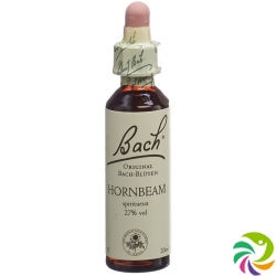 Bach-Blüten Original Hornbeam Nr.17 20ml