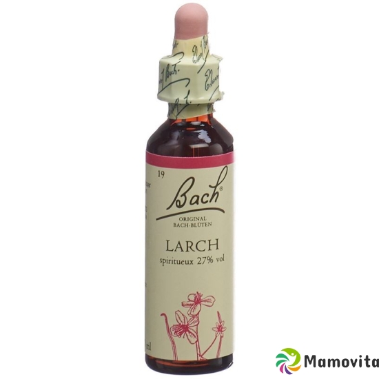 Bachblüten Larch Nr. 19 Flüssig 20ml buy online