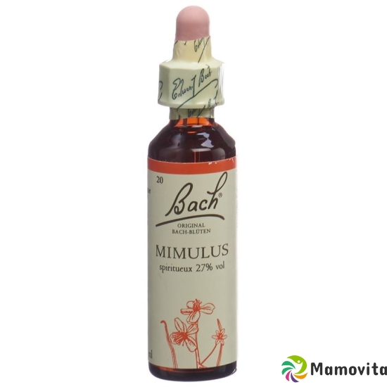 Bachblüten Mimulus Nr. 20 Flüssig 20ml buy online