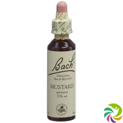 Bachblüten Mustard Nr. 21 Flüssig 20ml