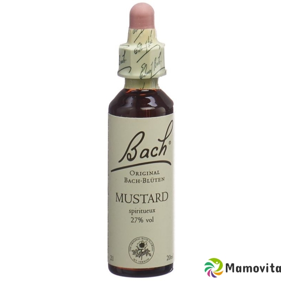 Bachblüten Mustard Nr. 21 Flüssig 20ml buy online