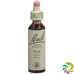 Bachblüten Pine Nr. 24 Flüssig 20ml