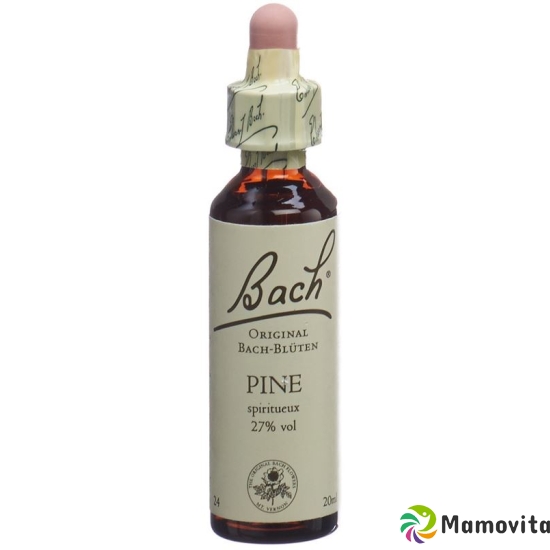 Bachblüten Pine Nr. 24 Flüssig 20ml buy online