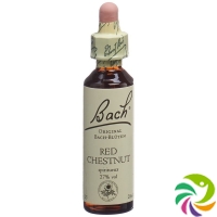 Bachblüten Red Chestnut Nr. 25 Flüssig 20ml