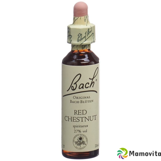 Bachblüten Red Chestnut Nr. 25 Flüssig 20ml buy online